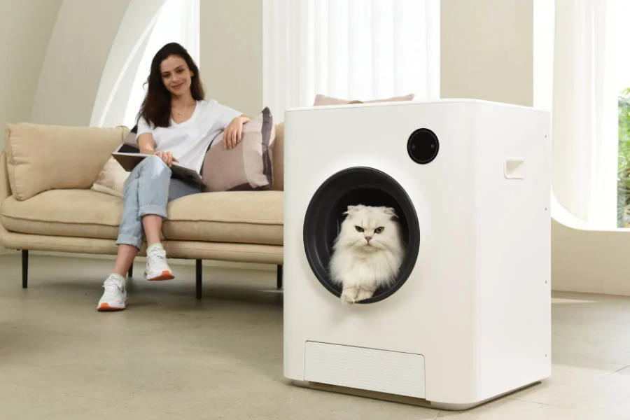 cat litter that cleans itself